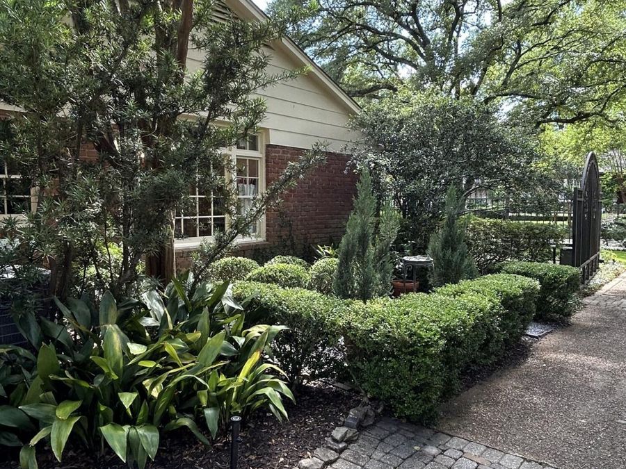 Property Image 61