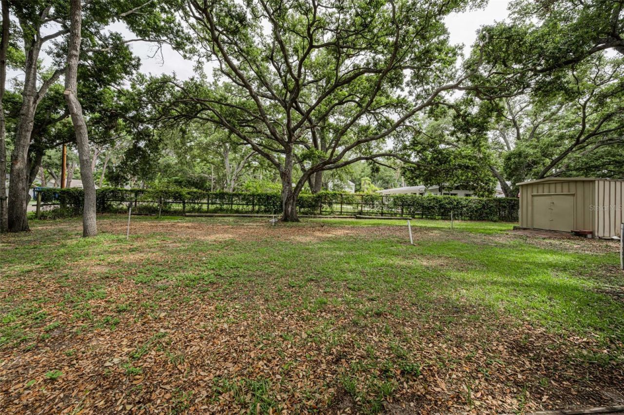 10050 62nd Avenue N, Saint Petersburg, FL 33708 Photo
