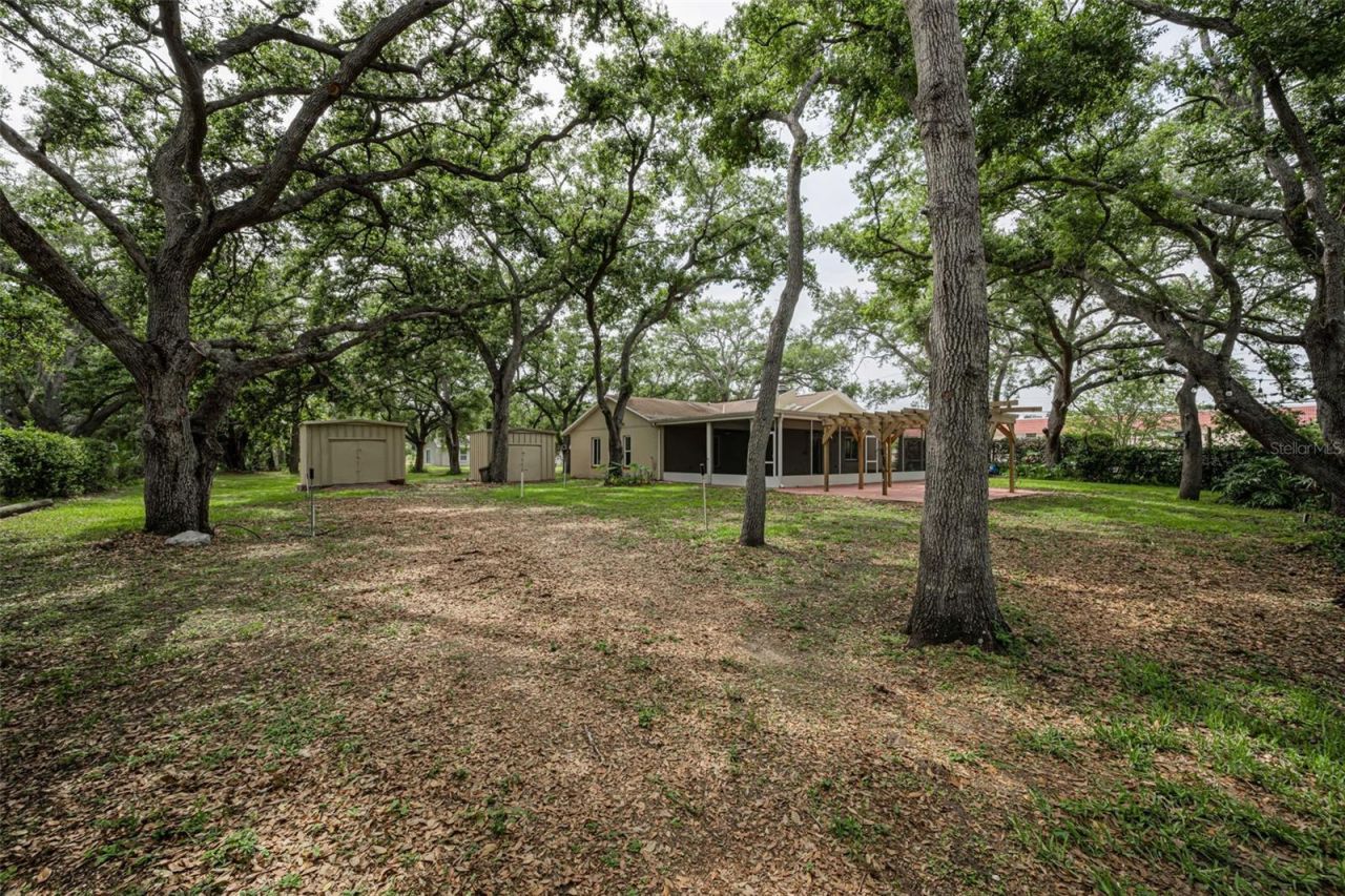10050 62nd Avenue N, Saint Petersburg, FL 33708 Photo