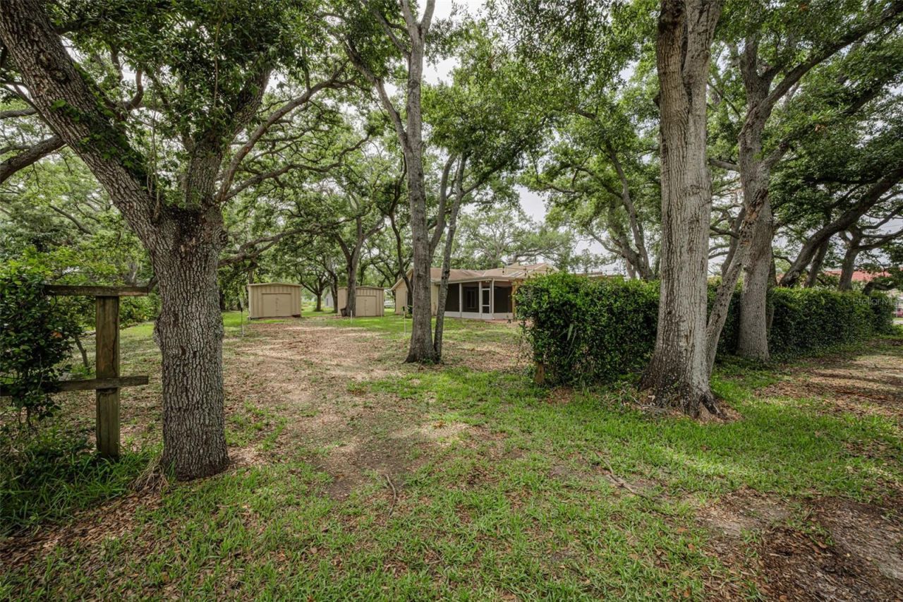 10050 62nd Avenue N, Saint Petersburg, FL 33708 Photo