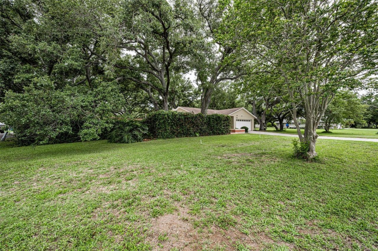 10050 62nd Avenue N, Saint Petersburg, FL 33708 Photo