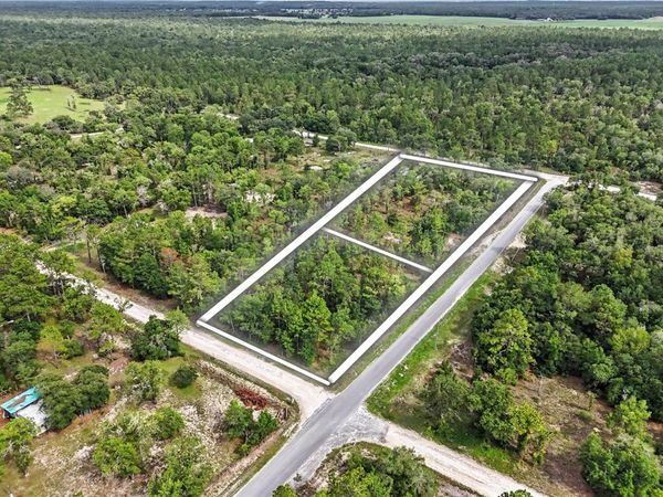 TBD SE 218TH AVENUE , MORRISTON, FL 32668