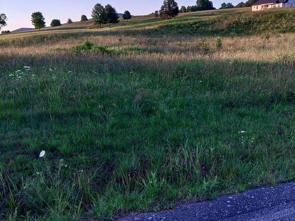0 Collins Run , Unit 51/52, Mc Minnville, TN 37110
