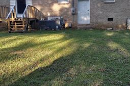 114 Henry Street  photo 4