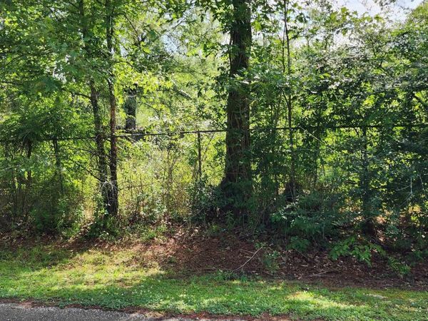 20975 Vincent Acres Cir, Denham Springs, LA 70726