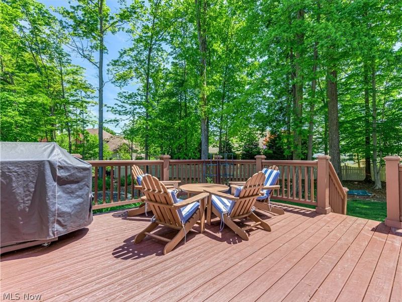 433 Castle Pines Drive, Fairlawn, OH 44333 Photo 45