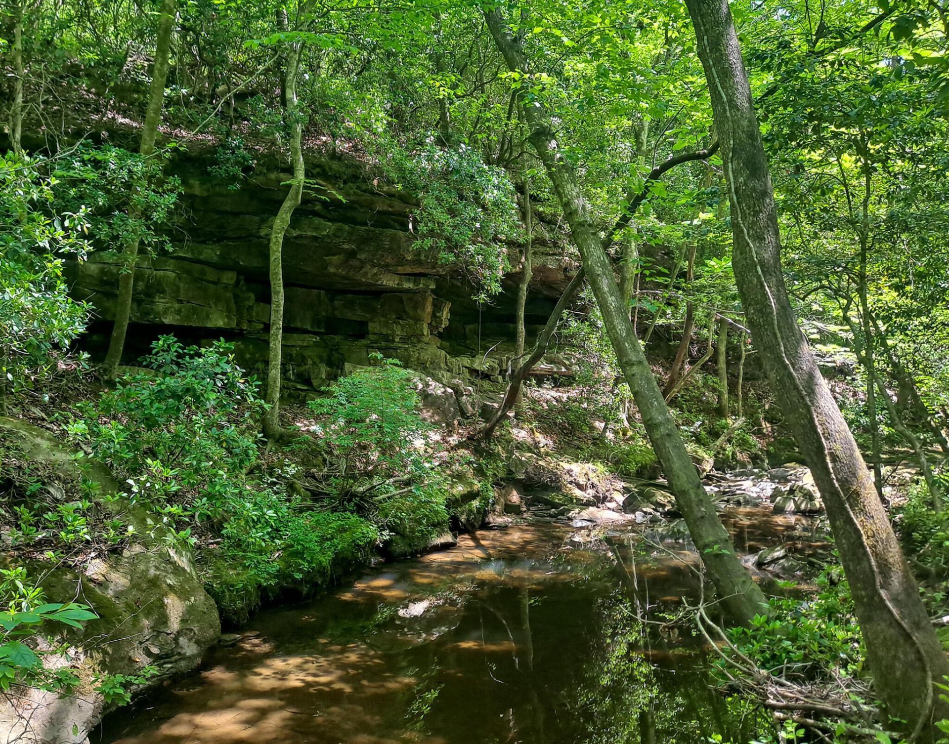 Tommy Mcgough Rd, Carbon Hill, AL 35549 Main Photo