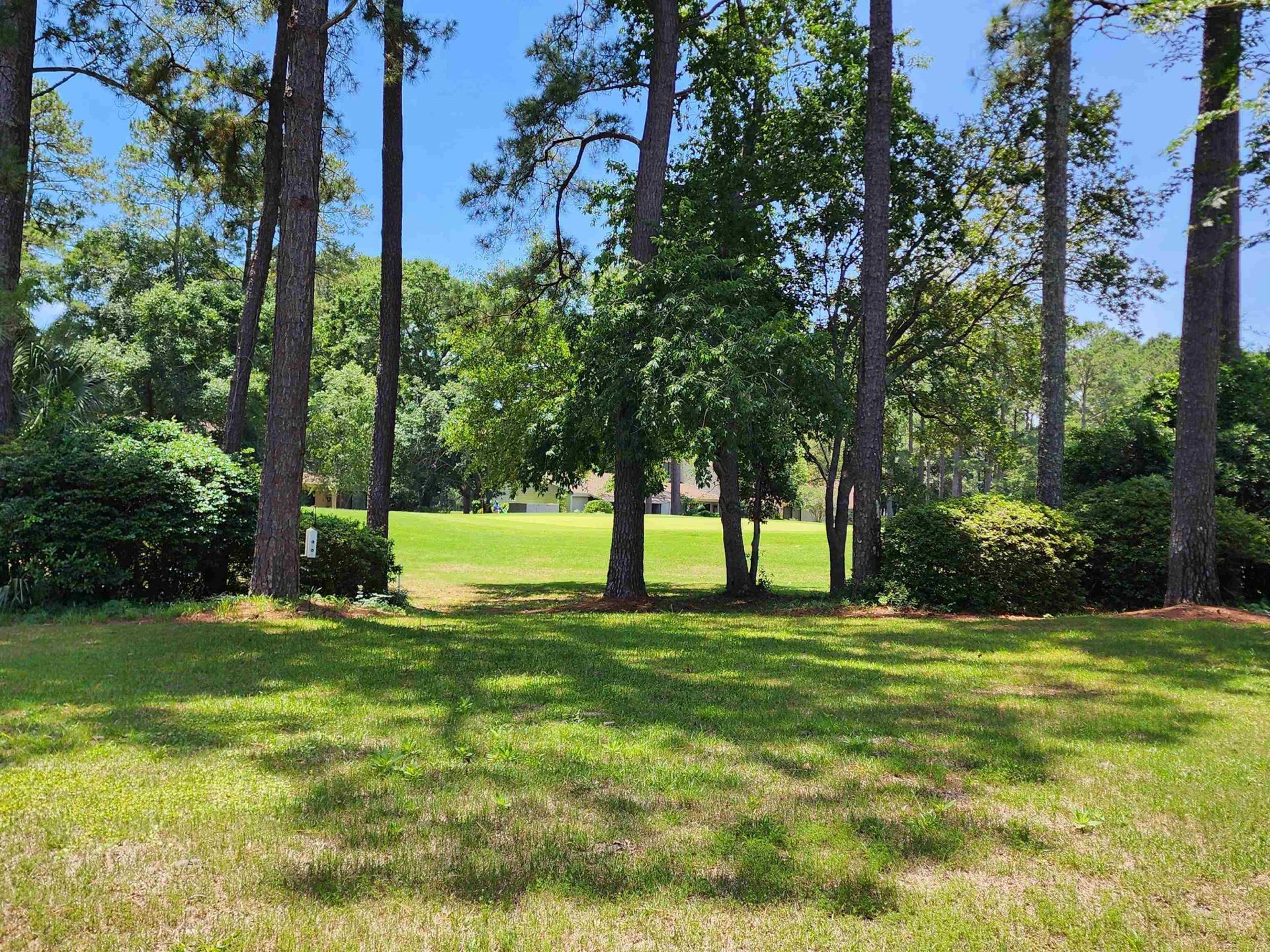 166 Tall Pines Way Photo 7