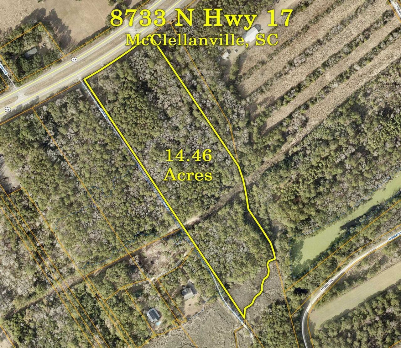 3799 N Highway 17  Photo 13