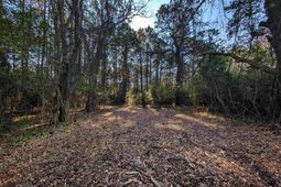 3799 N Highway 17  photo 4