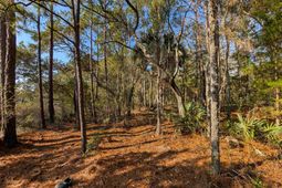 3799 N Highway 17  photo 4