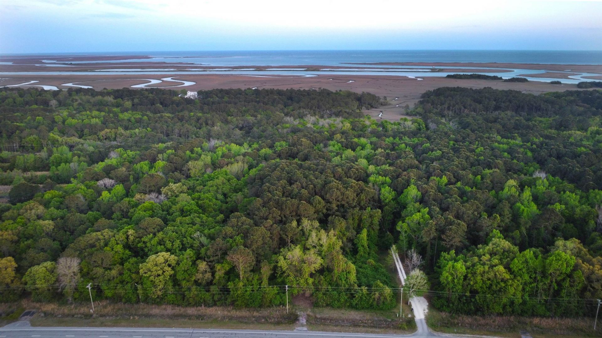 3799 N Highway 17  Photo 8