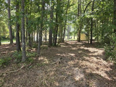 130 Green Court, Santee, SC 29142