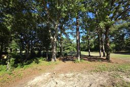 130 Green Court photo 4