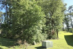 130 Green Court photo 4