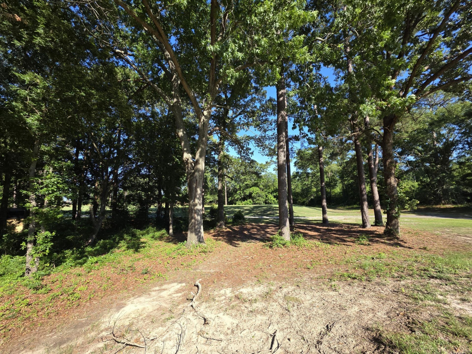 130 Green Court Photo 6
