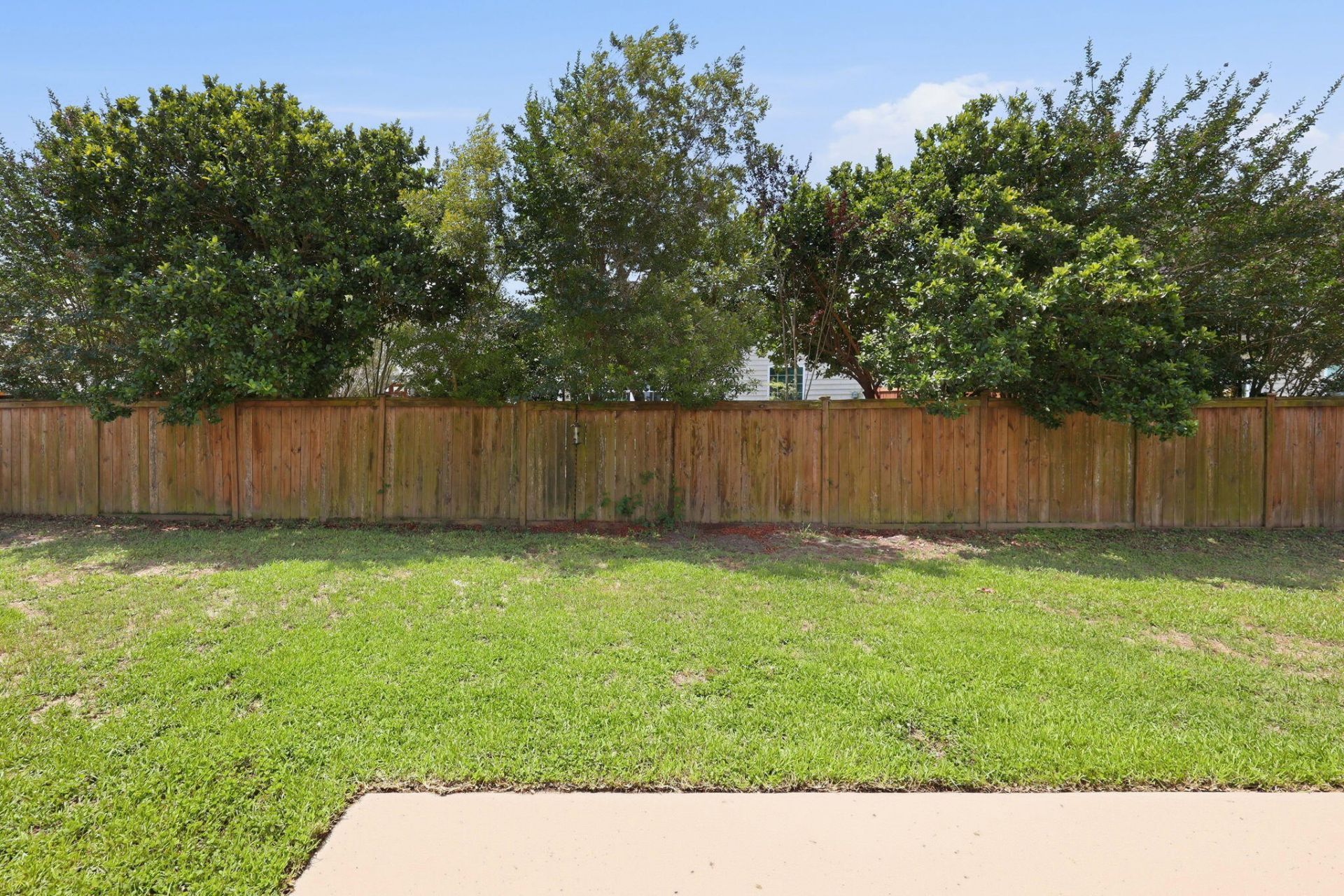 359 Bradley Bend Drive Photo 41