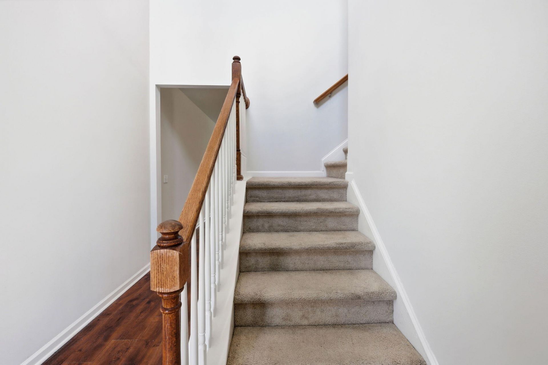 359 Bradley Bend Drive Photo 6