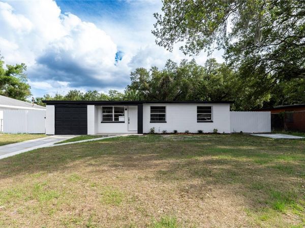 8325 ENDIVE AVENUE , TAMPA, FL 33619