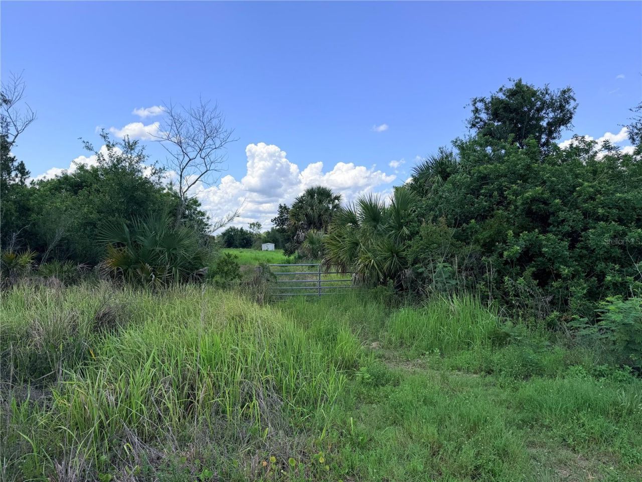 29455 Pine Villa Circle, Punta Gorda, FL 33982 Photo