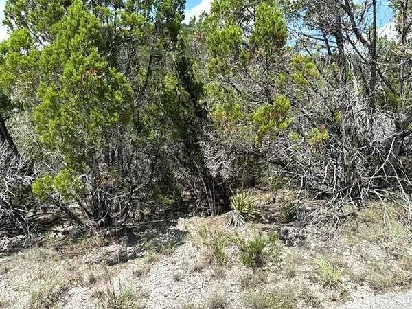 21404 Westward Ho PASS , Lago Vista, TX 78645