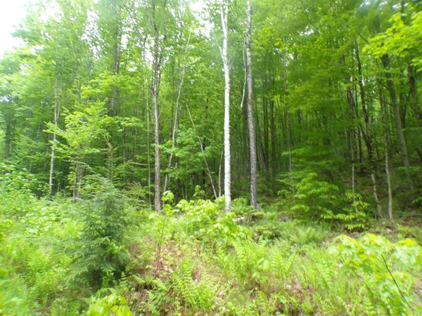 0 Foliage Lane, Unit 1, Westmore, VT 05822