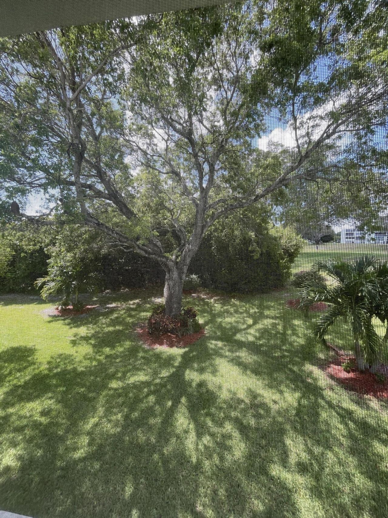 40 Keswick, Unit 40, Deerfield Beach, FL 33442 Photo