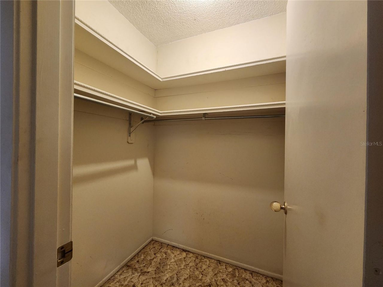 848 Ponderosa Pine Lane, Sarasota, FL 34243 Photo