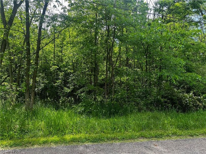 2375 Howland Wilson Road NE, Cortland, OH 44410 Photo 1