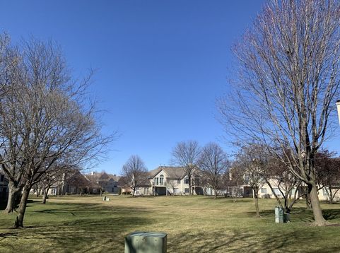 Main Photo