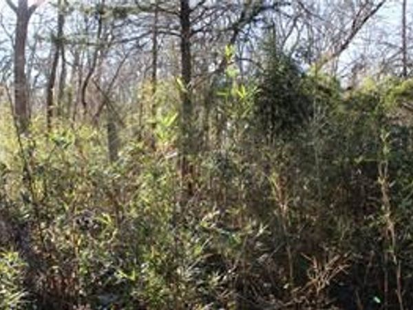 275 W 22nd Street, Fayetteville, AR 72701