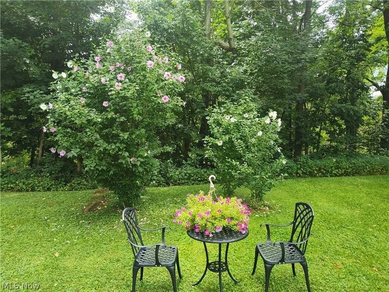 4510 S Ridge Road E, Geneva, OH 44041 Photo 11