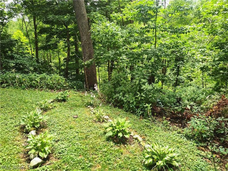 4510 S Ridge Road E, Geneva, OH 44041 Photo 13