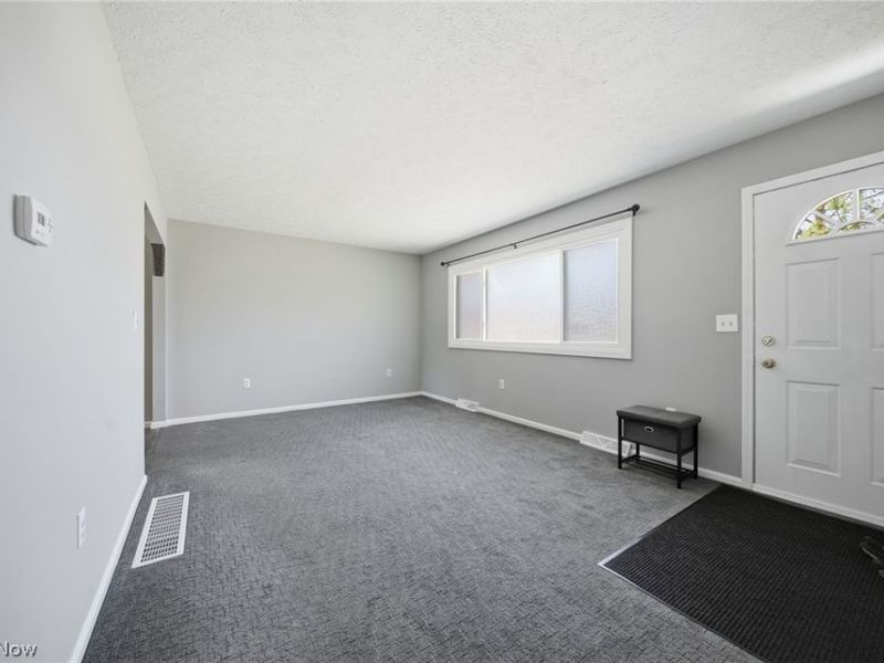 4510 S Ridge Road E, Geneva, OH 44041 Photo 17