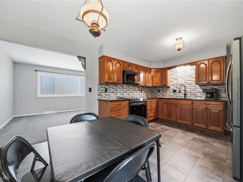 4510 S Ridge Road E, Geneva, OH 44041 Photo 21