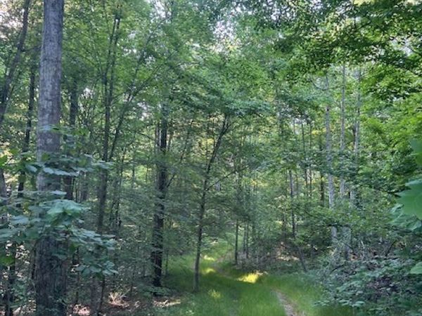 00 Greenbrier Rd , Breeding, KY 42715
