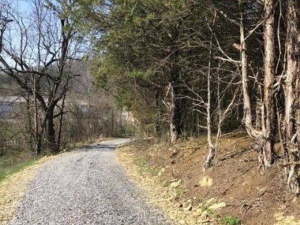 8.24 Ac West Andrew Johnson, Bulls Gap, TN 37711
