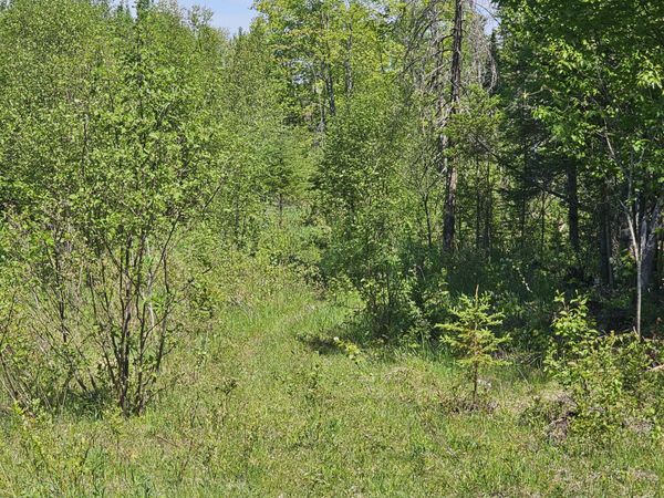 (B) Gager RD, Engadine, MI 49827