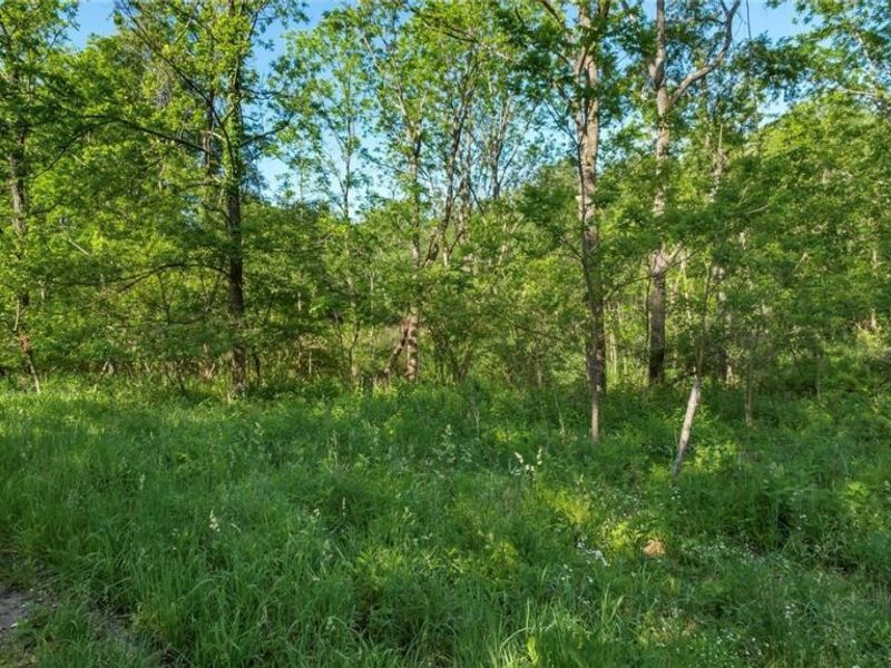 5911 Reform Road NE, Newark, OH 43055 Photo 15