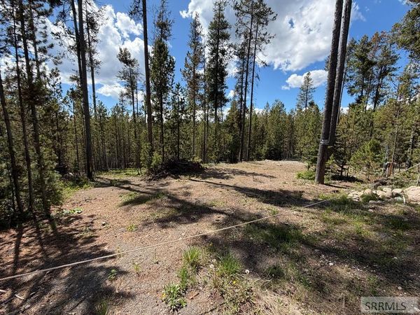 3917 E Chief Joseph Drive, ISLAND PARK, ID 83429