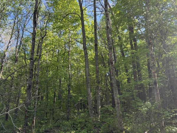 DREAM LAKE ROAD, Tipler, WI 54542