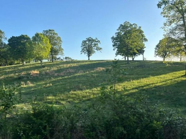 135 Louise Creek Rd , Cumberland Furnace, TN 37051