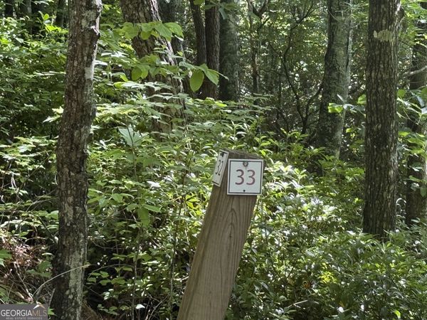 LOT 33 Fodder Creek Mill Drive, Hiawassee, GA 30546