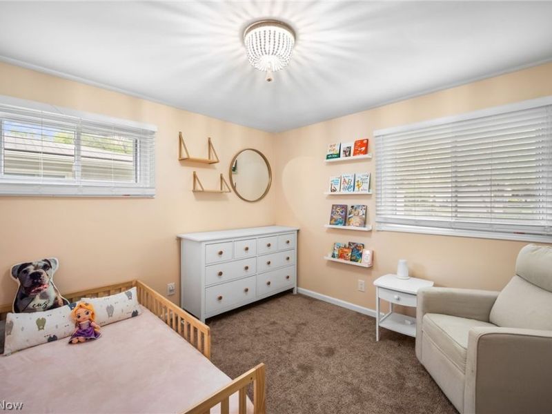 8498 Hallnorth Drive, Mentor, OH 44060 Photo 17