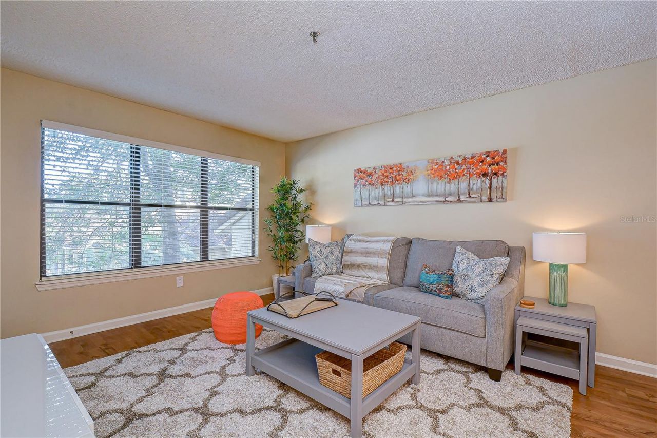 11901 4th Street N, Unit 4206, Saint Petersburg, FL 33716 Photo