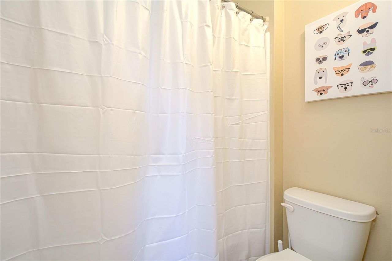 11901 4th Street N, Unit 4206, Saint Petersburg, FL 33716 Photo