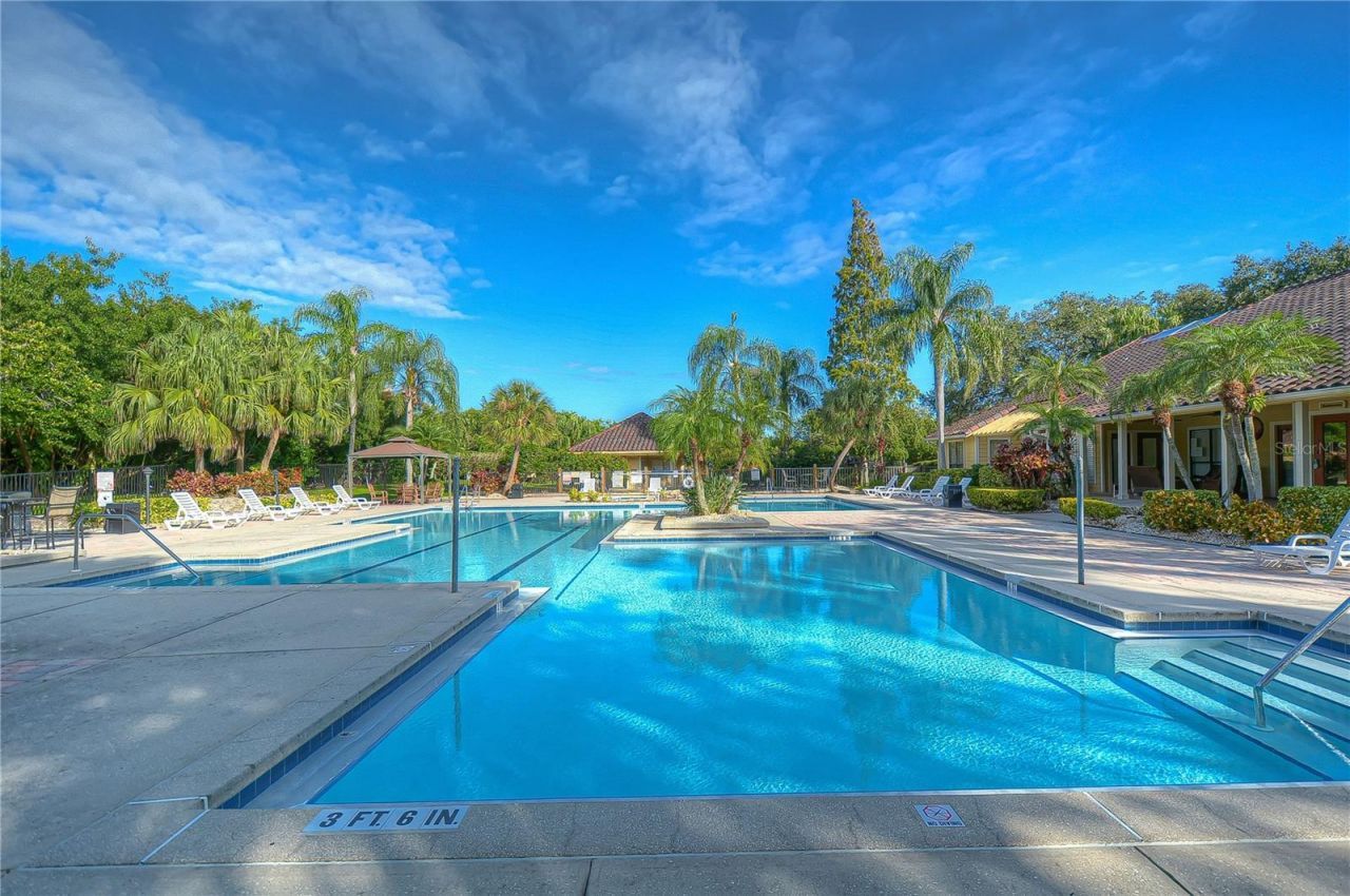 11901 4th Street N, Unit 4206, Saint Petersburg, FL 33716 Photo