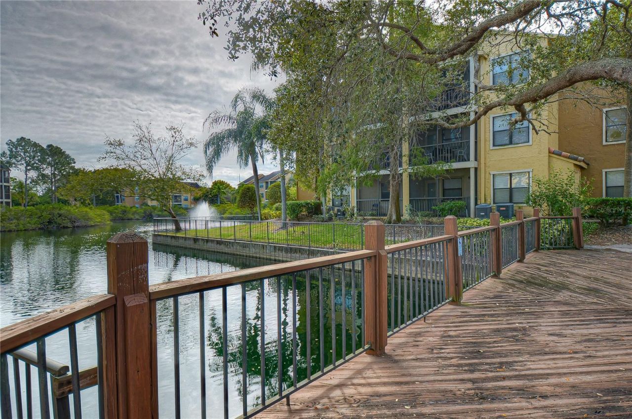 11901 4th Street N, Unit 4206, Saint Petersburg, FL 33716 Photo