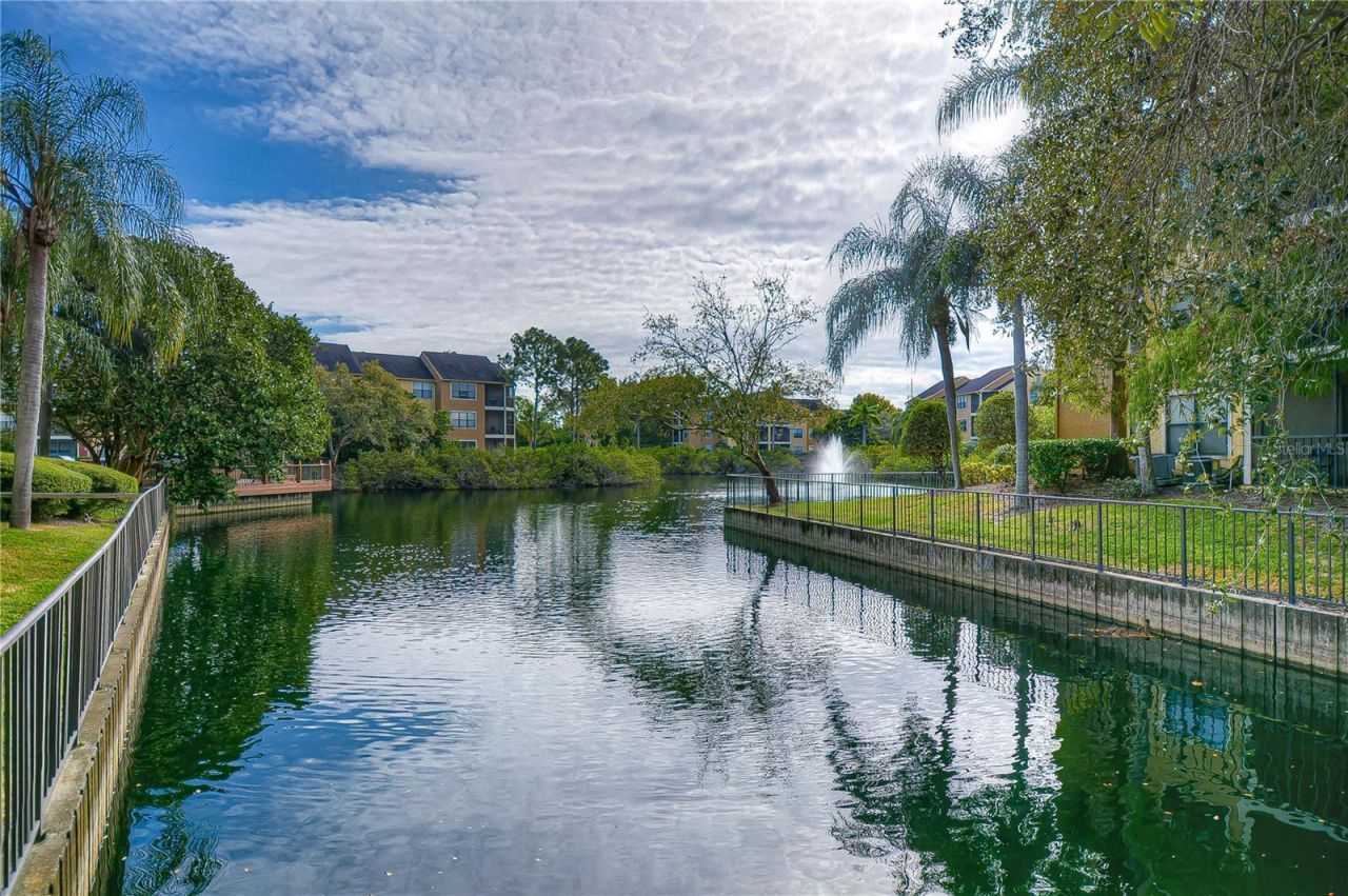11901 4th Street N, Unit 4206, Saint Petersburg, FL 33716 Photo