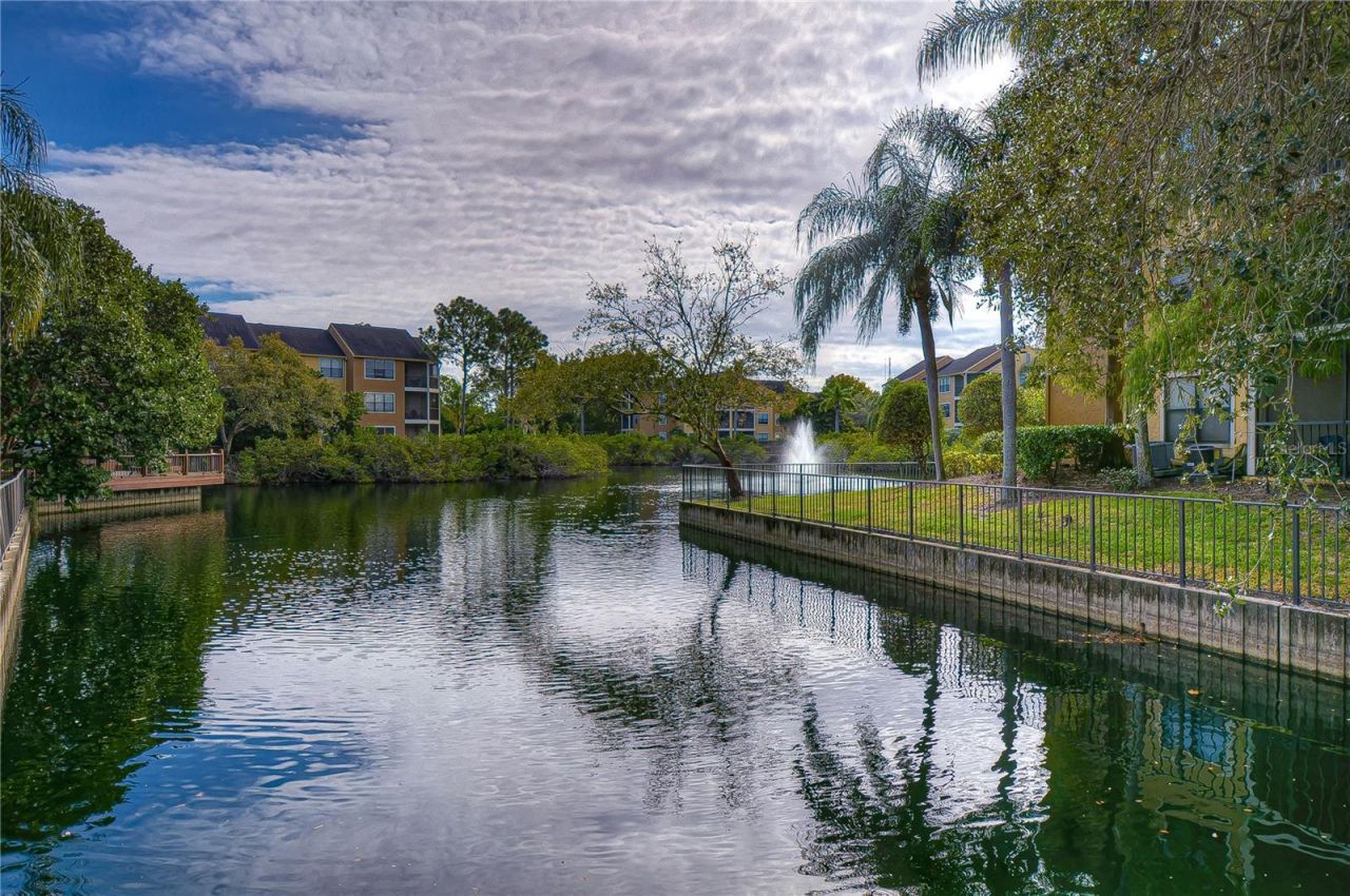 11901 4th Street N, Unit 4206, Saint Petersburg, FL 33716 Photo